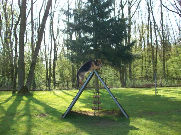 B Dasty Schraegwand.jpg